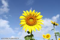 pic20120917_05