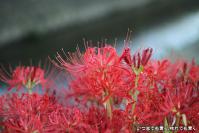 pic20120928_11
