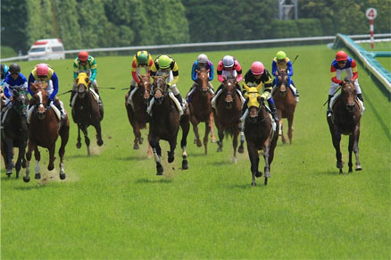 競馬