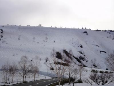DSC02010b.jpg