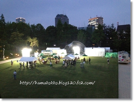 IMG_4337.jpg