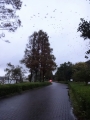 DSC02926.jpg