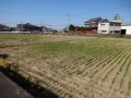 DSC03049.jpg