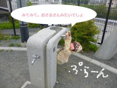 20120529.jpg