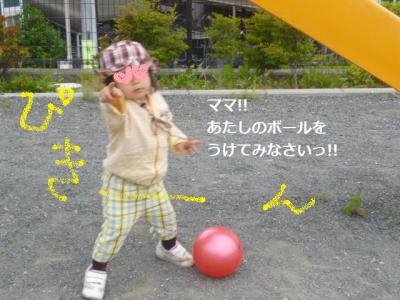 20120529 (4)
