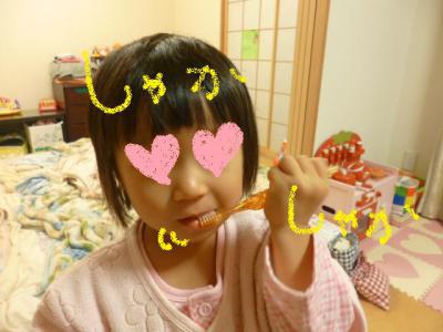20121106a.jpg