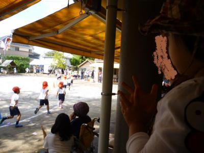 P1150243.jpg