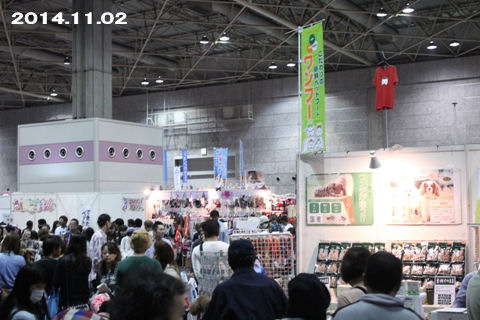 IMG_4917.jpg