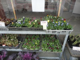 DSC06735.jpg