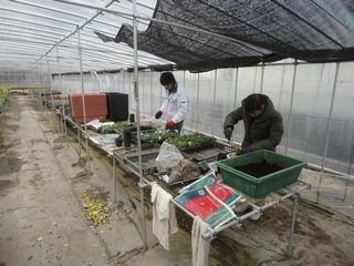 DSC06852.jpg
