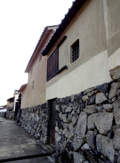 DSC09513.jpg