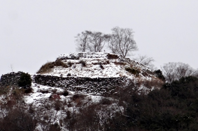 DSC09795.jpg