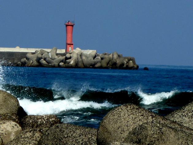 P1120155.jpg
