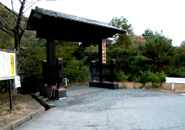 P1130071.jpg