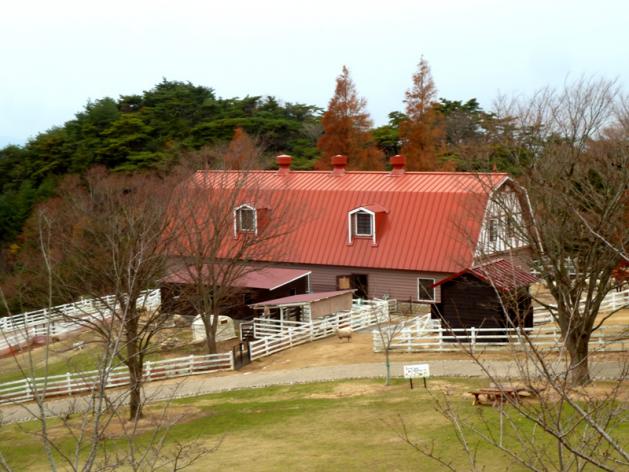 P1150254.jpg