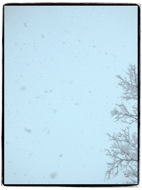 雪の日2