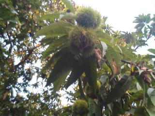 2006_0905_055051-TS323523.jpg