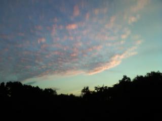 2012_0830_050533-PT340002.jpg