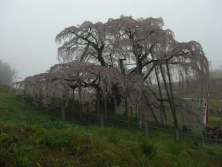 s-CIMG0121_20120422115148.jpg