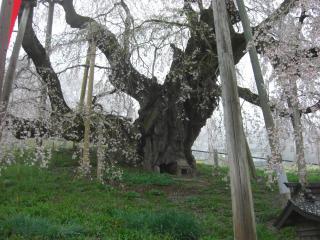 s-CIMG0124_20120422115219.jpg