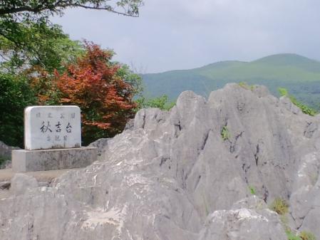 CA3G0312.jpg