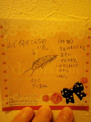 CA3G0378.jpg