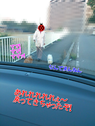0Y1anq98OtBRQGG1371955968_1371956522.png