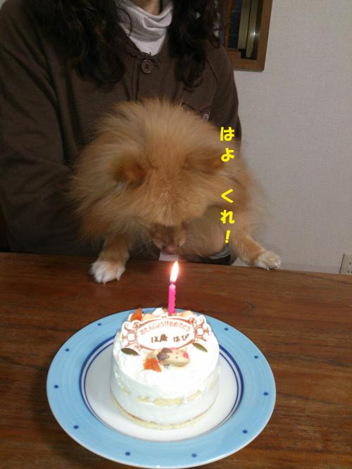 縺ッ繧医¥繧後・縺エ_convert_20130320210837
