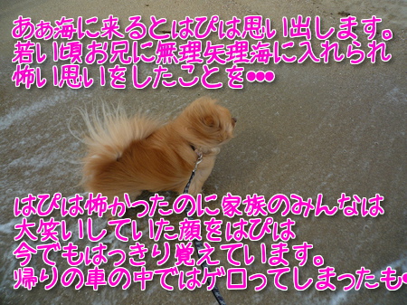 2UV0bO_dNNop5Mz1373155424_1373155789.jpg