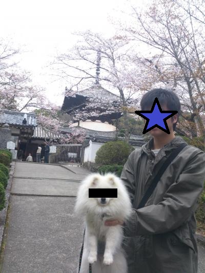 のあと息子と根来寺