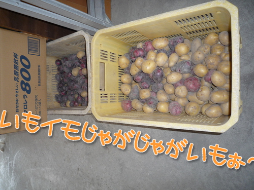 Fzsv138K2ePplu11370387109_1370387354.jpg