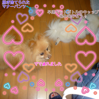 J8wmjN_Os9uv3rU1370567177_1370567739_convert_20130607102114.png