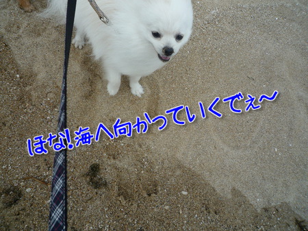 Rkj5Mb5f_KjXUD11373155990_1373156081.jpg