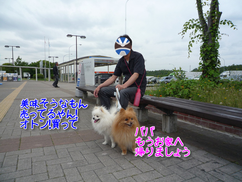 U_l2i0TgmkQgY9f1370221608_1370221816.png