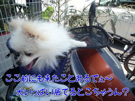 YnKWGoWOfleK8Io1373413232_1373413385.jpg