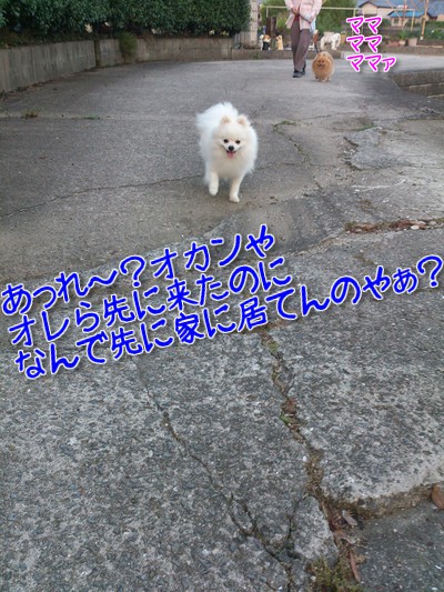 iiPKtCLxmJcEn4N1371957262_1371957473.jpg