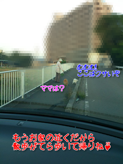 oisLzUFOyZ5tJYw1371956560_1371957144.png