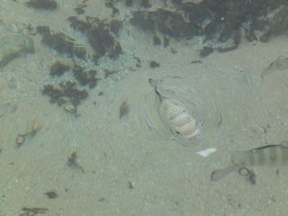 DSC00330.jpg