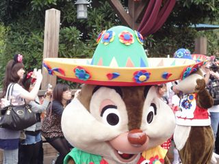 DSC01810.jpg
