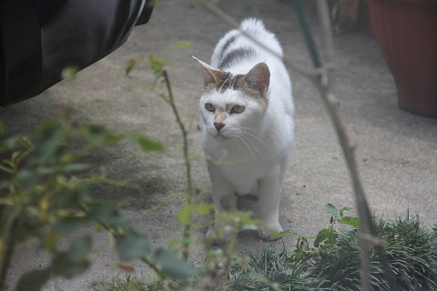 resize9514.jpg