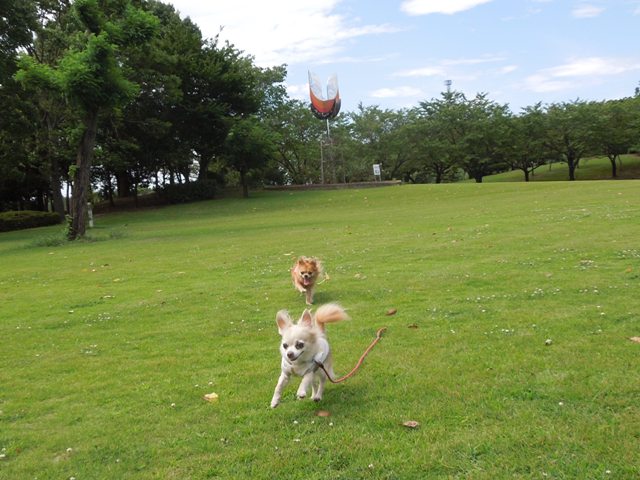 DSCN6897.jpg