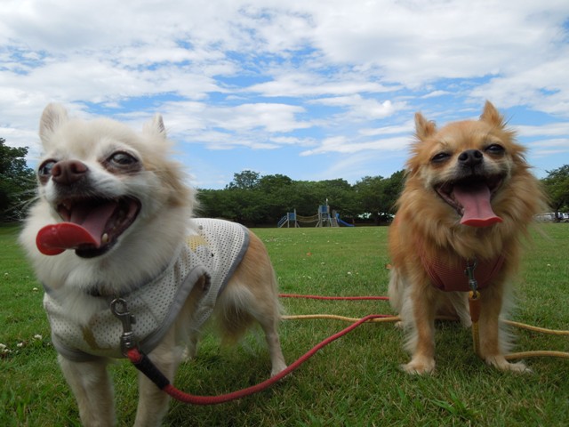 DSCN6929.jpg