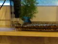tn_2012.6.3 039