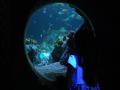 tn_2012.6.15 020