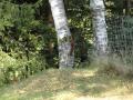 tn_2012.9.23 092