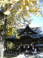 みはら手しごと市