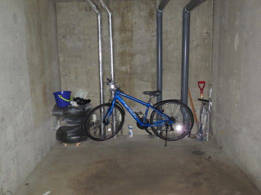 サヨナラ自転車