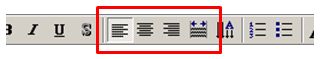 PowerPoint2000書式9