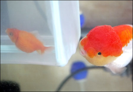 20130403004.jpg