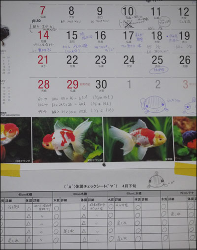 angou001.jpg